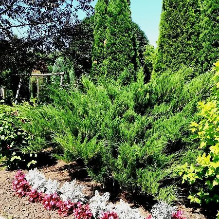 Voelgy Апартаменты *