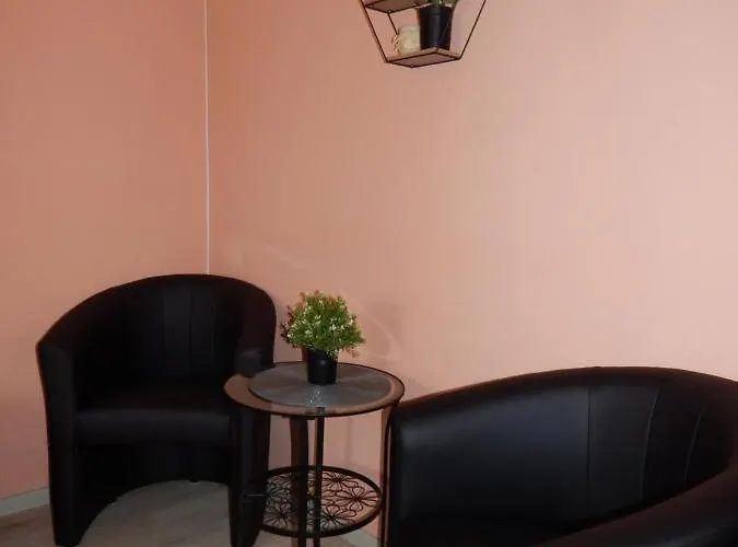 威尔纪阿帕特公寓 *