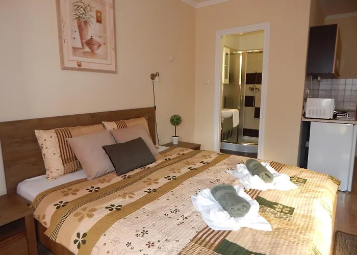 威尔纪阿帕特公寓 *